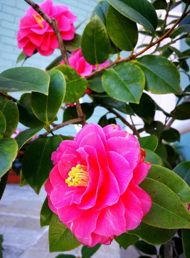 Il Giardino All'Angolo Villacidro المظهر الخارجي الصورة