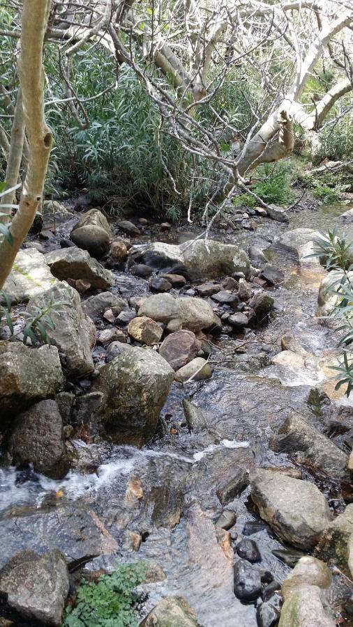 Il Giardino All'Angolo Villacidro المظهر الخارجي الصورة