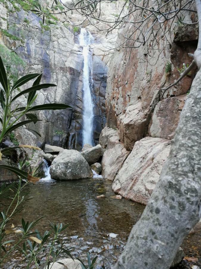 Il Giardino All'Angolo Villacidro المظهر الخارجي الصورة