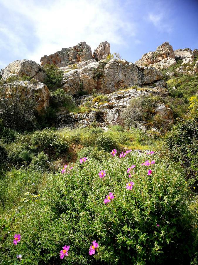 Il Giardino All'Angolo Villacidro المظهر الخارجي الصورة
